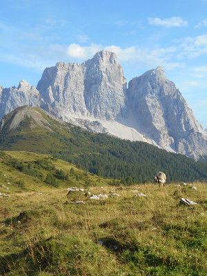 Salutare In Montagna Il Segreto Di Un Semplice Buongiorno