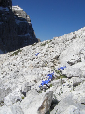 Salutare In Montagna Il Segreto Di Un Semplice Buongiorno