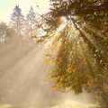 luce_albero_blog